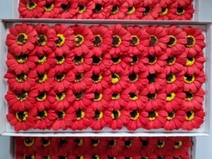 Червона маленька гербера з мила для створення розкішних мильних букетів